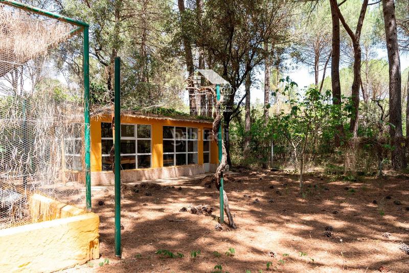 Foto 6aadbc99-9b9f-47a5-9dee-7eaf71f9b389. Casa chalet independiente en urbanizacion pinares del jucar en Albacete