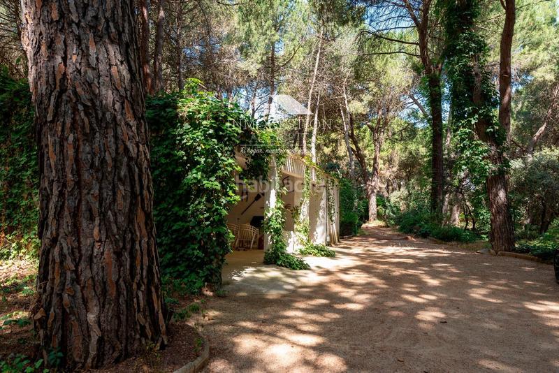 Foto bbd3a258-18b8-4245-b957-16e31d2f89cd. Casa chalet independiente en urbanizacion pinares del jucar en Albacete