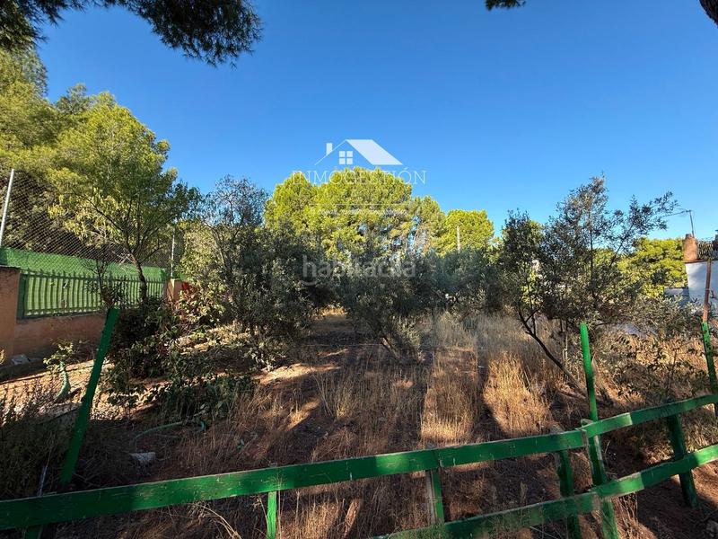 Foto 187055fc-80a0-453f-842c-7181a0a8396c. Casa amb aparcament piscina a Pedanías - Extrarradio Albacete