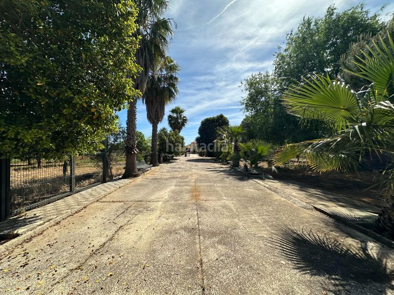 Foto 30f7ad28-3474-489a-b43b-8dd3026dd0e5. Xalet a Marchena