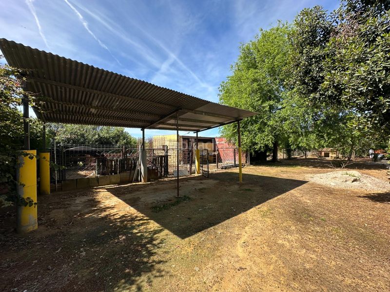 Foto 4beb9d64-f76d-4e08-9a1a-982425b799fb. Xalet a Marchena