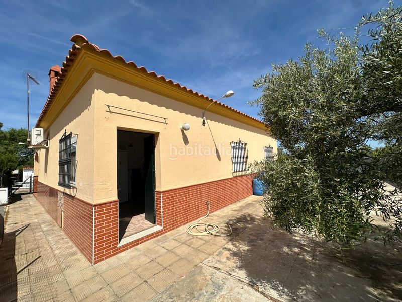 Foto e02a77b7-64a0-4352-a2d2-64eb49e7a7a6. Xalet a Marchena