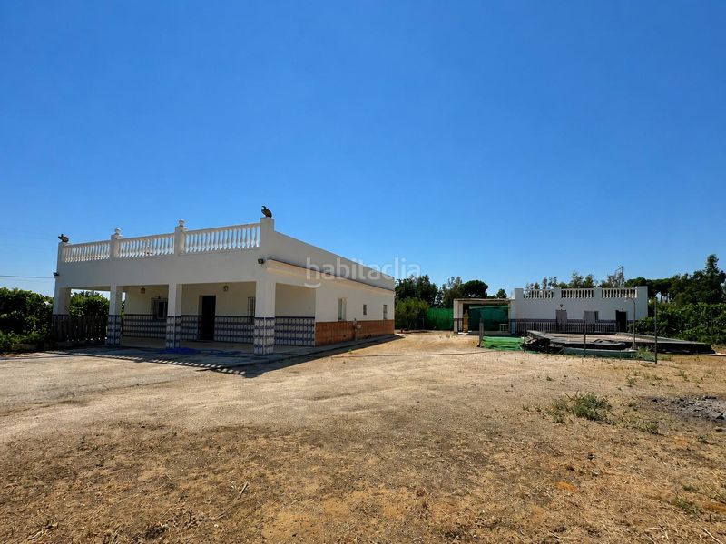 Foto 130cee69-93c1-456c-884d-b2c81baf67a2. Casa a Marchena