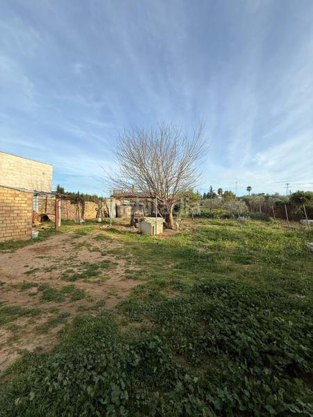Foto eba28a1f-958b-404c-b895-145795212593. Finca rústica parcela en el monje en Marchena