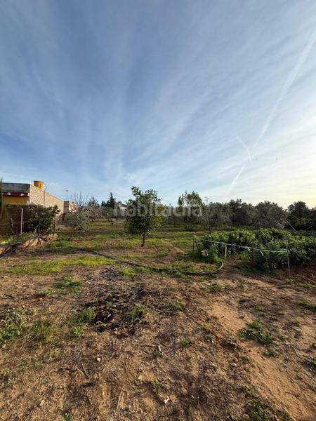 Foto f9f91484-6445-4653-9fae-c35759d30156. Finca rústica parcela en el monje en Marchena