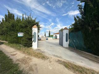 Xalet a Marchena. Campo cerca del monje