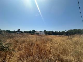Propriété à Marchena. Parcela en la zona del monje