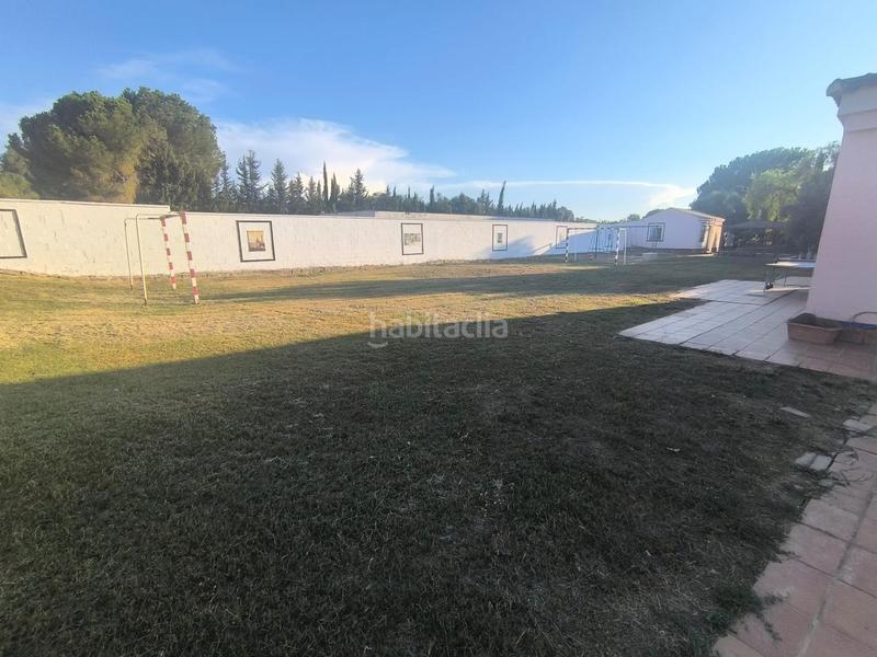 Foto 649e8d00-66d7-49d9-8ba9-bbff535ffb51. Casa a Carmona