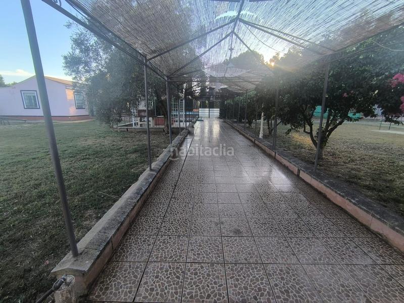 Foto e15b4c7a-6020-438b-9f1a-e3d709db6330. Casa a Carmona