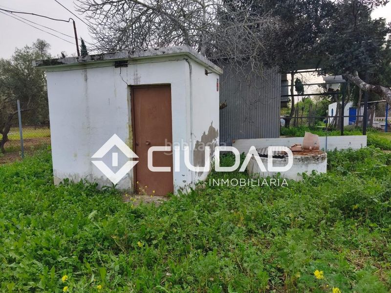Foto 94fb0ae1-0e1d-4c45-a07d-029c3391c41e. Casa a Cuervo de Sevilla (El)