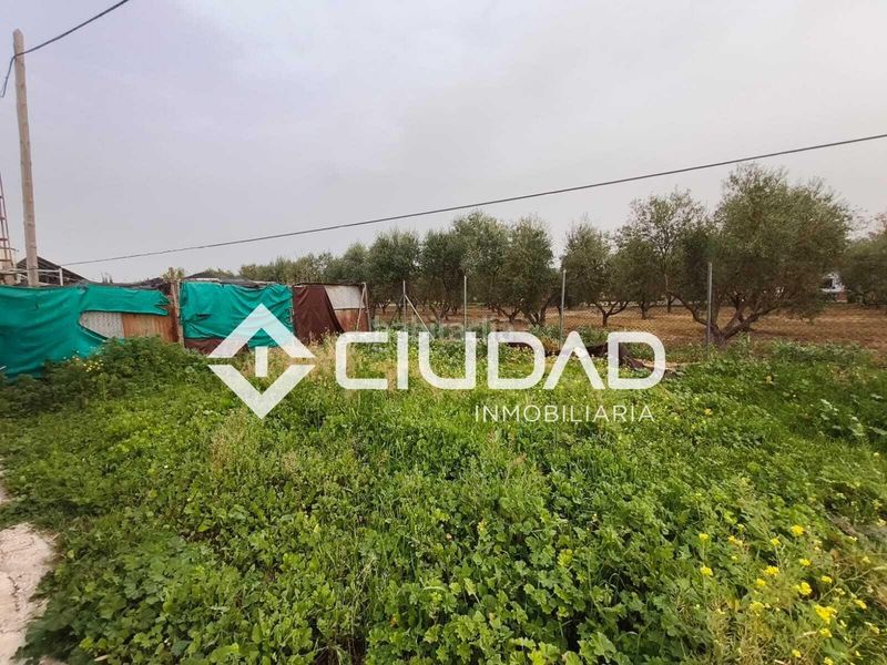 Foto eb588225-22e5-44b8-9acb-efc82a7960c7. Casa a Cuervo de Sevilla (El)