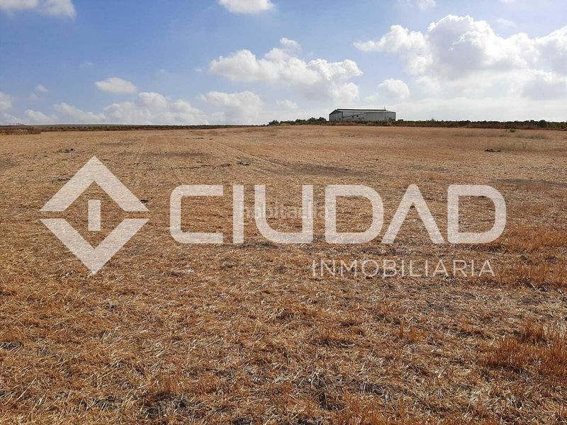 Foto 15e9c061-ca3c-47e3-bd79-993f7814c136. Terreny residencial a Lebrija