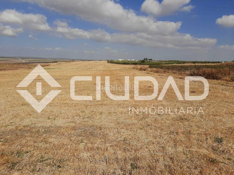 Foto f5f0e9af-219b-4fb7-b5fd-0e892f806f87. Terreny residencial a Lebrija