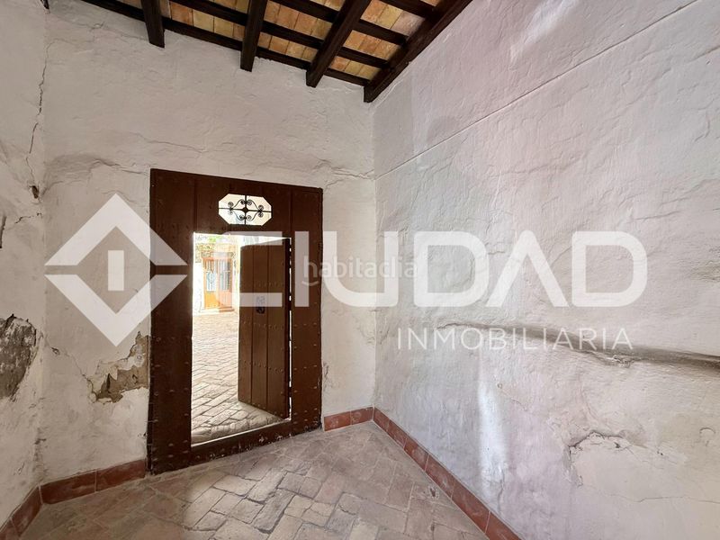 Foto aa4b67e4-e348-4bf3-bf36-fa2f0c610170. Pis a Lebrija