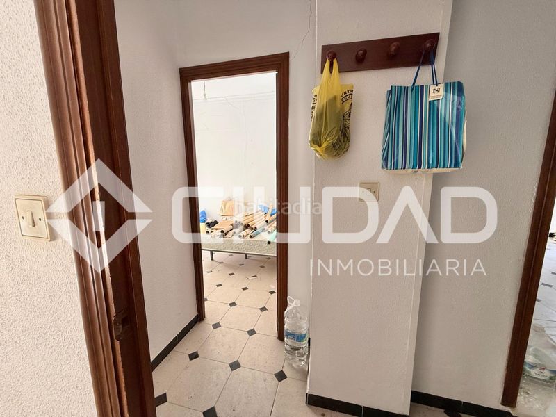 Foto b46ade98-cdaa-48a5-9ee4-9408f6828470. Pis a Lebrija