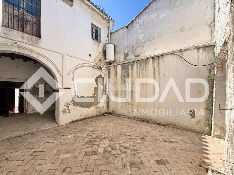 Foto c600a0c1-e53b-4593-894b-ff9a5fbb21d9. Pis a Lebrija