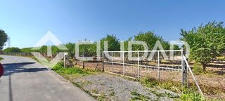 Rural plot in Cuervo de Sevilla (El). Finca rústica  camino la humedad, el cuervo