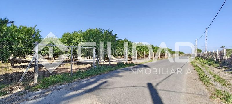 Foto c9006bd5-e33f-4196-8953-2b91f62baeda. Finca rústica a Cuervo de Sevilla (El)