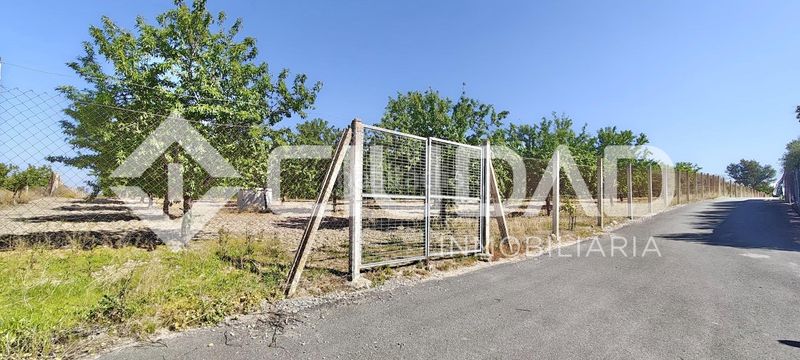 Foto cc43f0ed-8382-4020-8a9f-6b7ff6fd0c8a. Finca rústica a Cuervo de Sevilla (El)