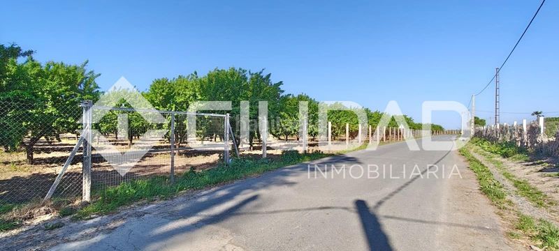Foto d7525797-e574-4bf8-9236-1776771c2990. Finca rústica a Cuervo de Sevilla (El)