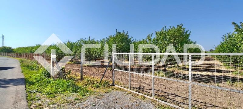 Foto df6ffea0-05a2-44c6-8f6b-95e98a05dd65. Finca rústica a Cuervo de Sevilla (El)