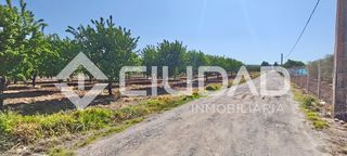 Rural plot in Cuervo de Sevilla (El). Terreno rústico  camino la humedad