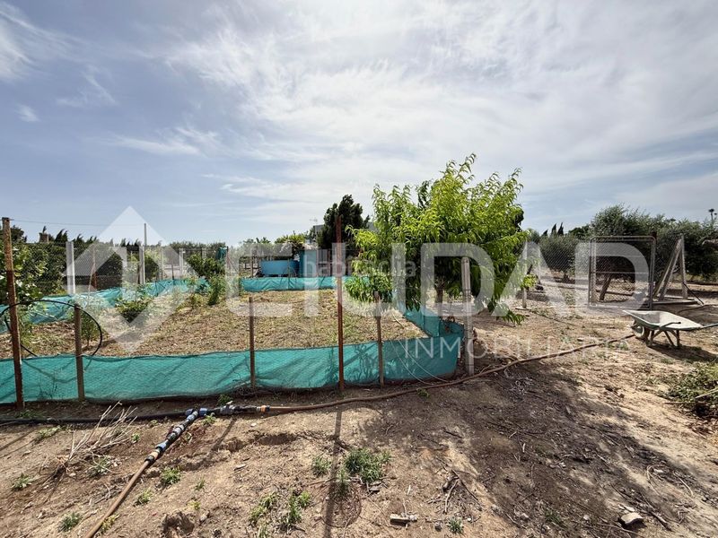 Foto 96fcdc4e-9da7-4184-81f5-a6d2ea22701a. Finca rústica a Lebrija