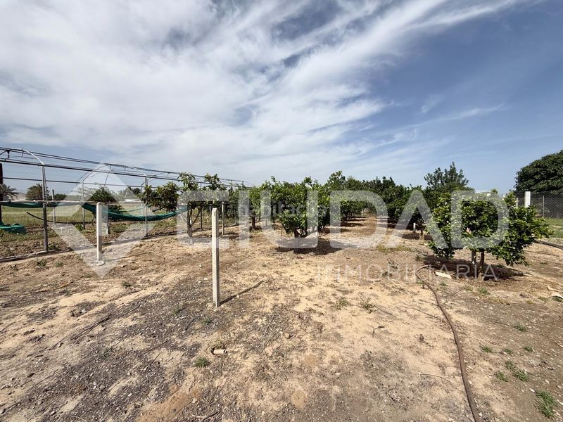 Foto a951cc70-12b4-426d-b788-2396dda2be1e. Finca rústica a Lebrija