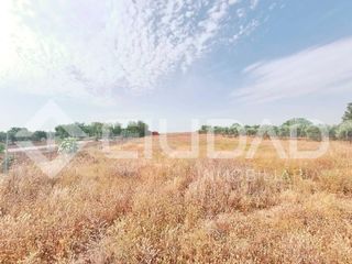 Masia a Cuervo de Sevilla (El). Finca rústica en venta en el cuervo  zona el buhadillo