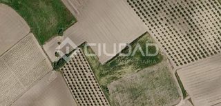 Fondo rustico in Lebrija