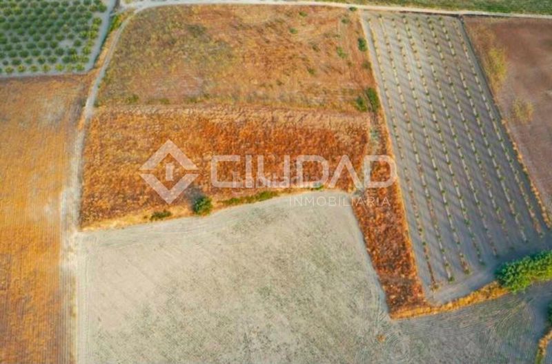 Foto 7b5b30f8-5d32-4053-8c80-c5d9d2c26265. Finca rústica a Lebrija