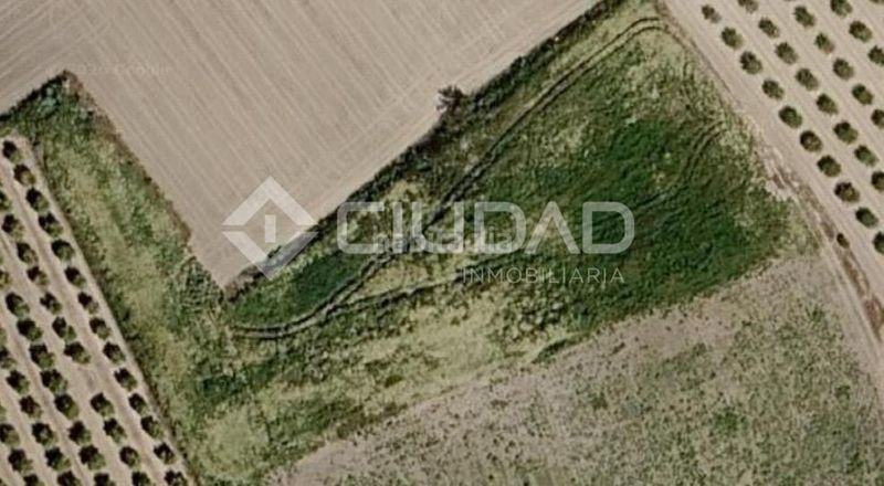 Foto cbd12b92-185e-40d8-b860-98347a1e8e28. Finca rústica a Lebrija