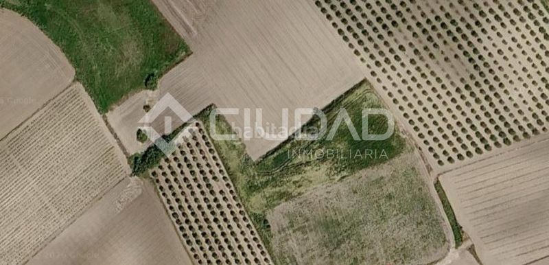 Foto e02dbacc-7c52-44ca-8e87-b6a64f94493d. Finca rústica a Lebrija