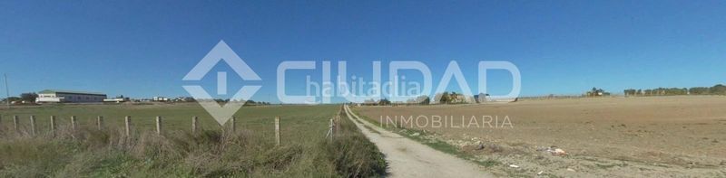 Foto f20e8fe0-f071-4724-ae67-67b9e63022d0. Finca rústica a Lebrija