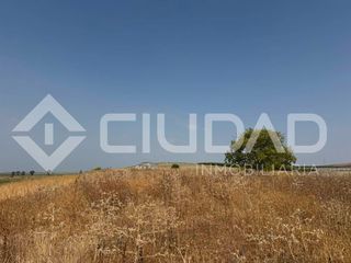 Terreny residencial a Lebrija. Finca rústica en venta  paraje carrascosa, lebrija