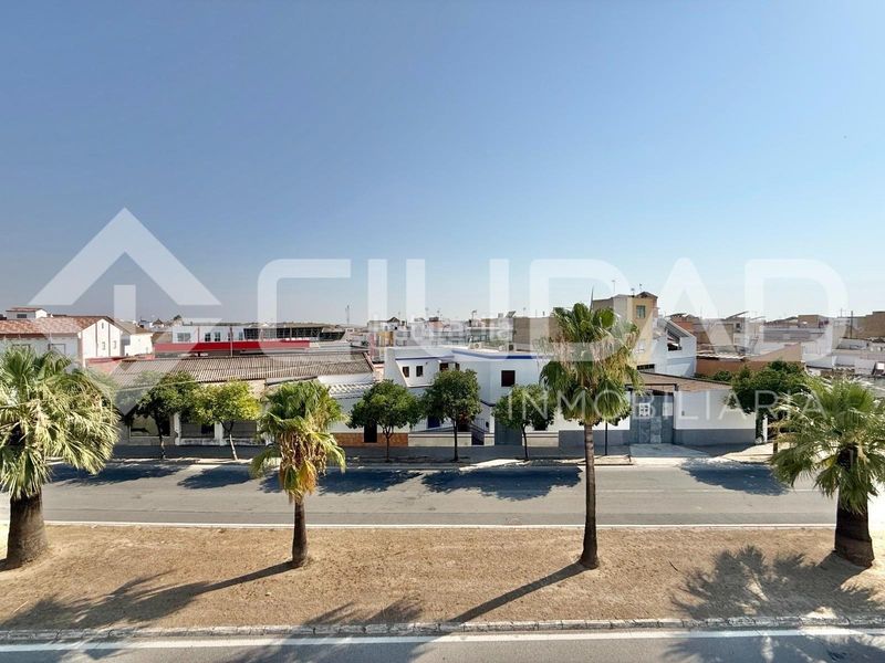 Foto 09023d05-9979-4020-b926-b52bade0c61c. Nau industrial a Lebrija