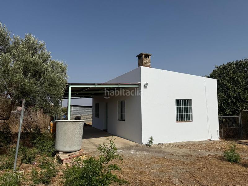 Foto b927d968-a3d7-4d71-a7bb-c87c4e18e702. Finca rústica campo camino los rasillos en Lebrija