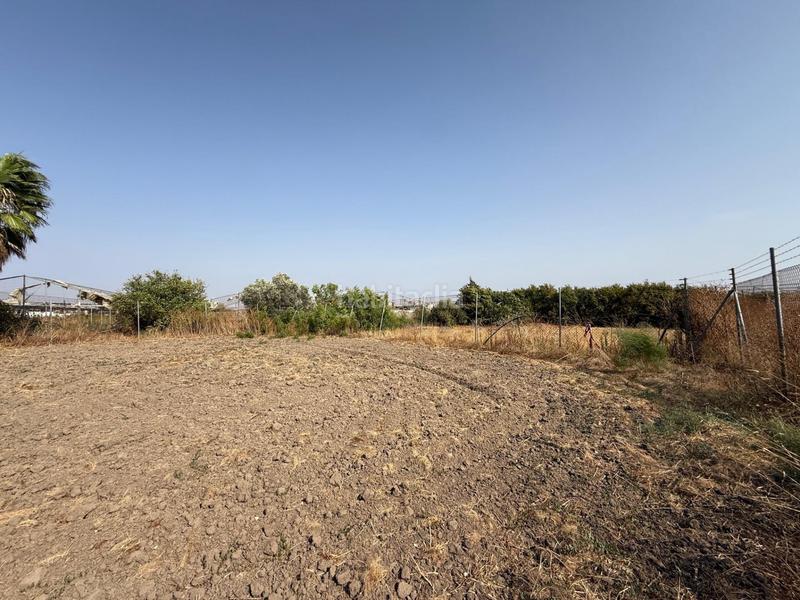 Foto cc408b60-e928-4210-9194-c57ff0ec1b00. Finca rústica campo camino los rasillos en Lebrija