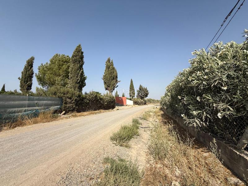 Foto ff04c19d-9b93-4b94-9b70-b119957c14f1. Finca rústica campo camino los rasillos en Lebrija