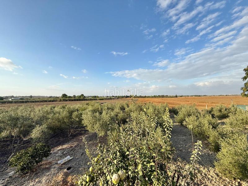 Foto 36ed1236-d98a-4969-866c-93f2bec6eeee. Finca rústica a Lebrija