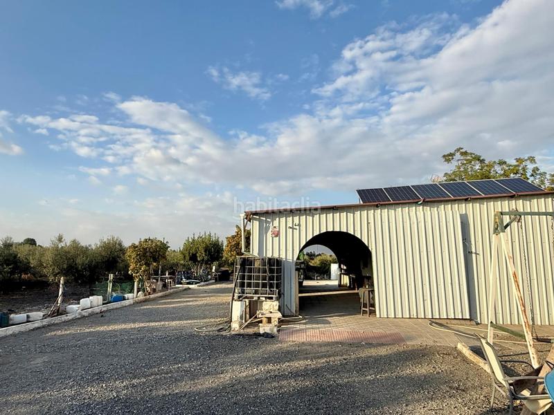 Foto 44422318-b2f8-4f3c-8712-d674c657183d. Finca rústica a Lebrija