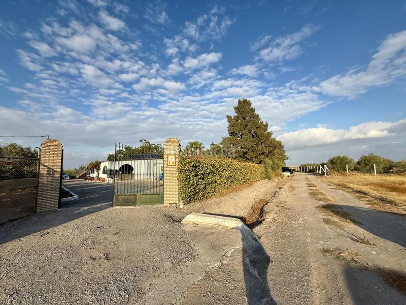 Foto 8a8a48fa-9848-4ecc-9853-8ac57132b6cc. Finca rústica a Lebrija