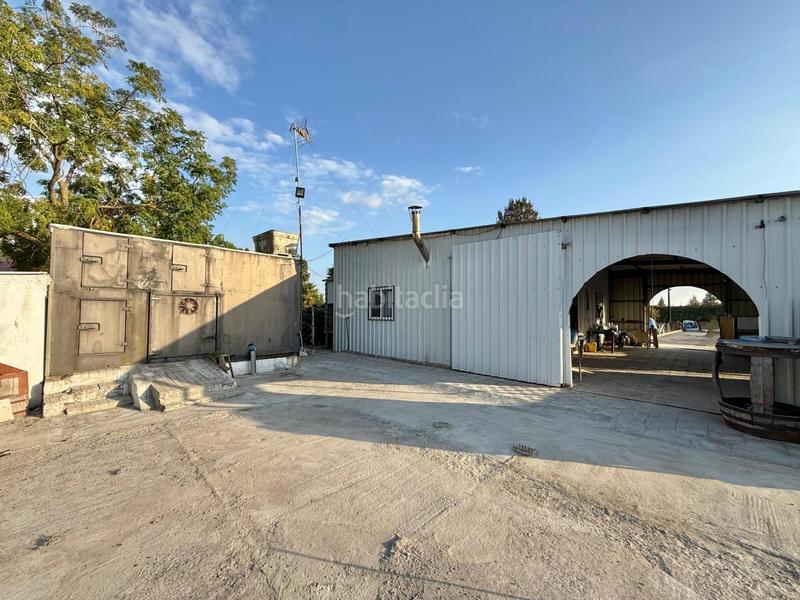 Foto a81c1b10-b8d5-41ab-b1e5-08068bd2c6a8. Finca rústica a Lebrija