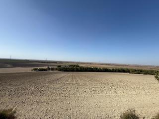 Finca rústica a Lebrija. Terreno rústico en venta  zona balsa melendo, lebrija zona torib