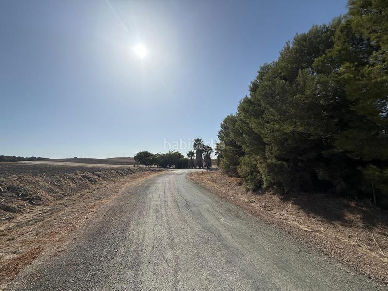 Foto 1994d7c4-f34b-423b-905e-cd6bdd6c8bb1. Landgut in Lebrija