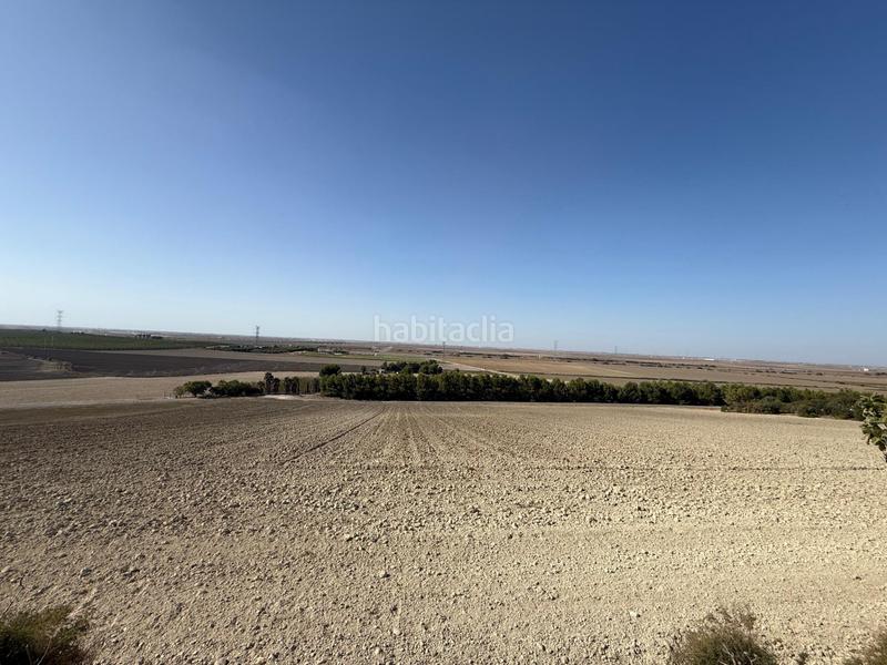 Foto 7208f398-e860-487b-acb6-d615fa71d96c. Landgut in Lebrija