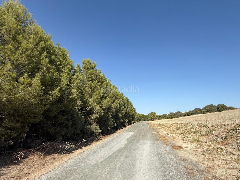 Foto 8bdecbdd-a499-47dc-b92a-a60051230048. Landgut in Lebrija