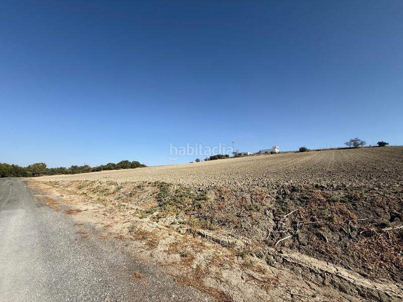 Foto a3f0fa68-40c7-4df2-9333-9ec24c4dfc9b. Landgut in Lebrija