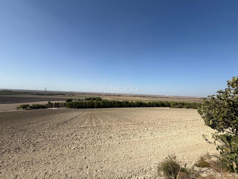 Foto b4673ce4-2609-4682-8069-bb621e12edab. Landgut in Lebrija