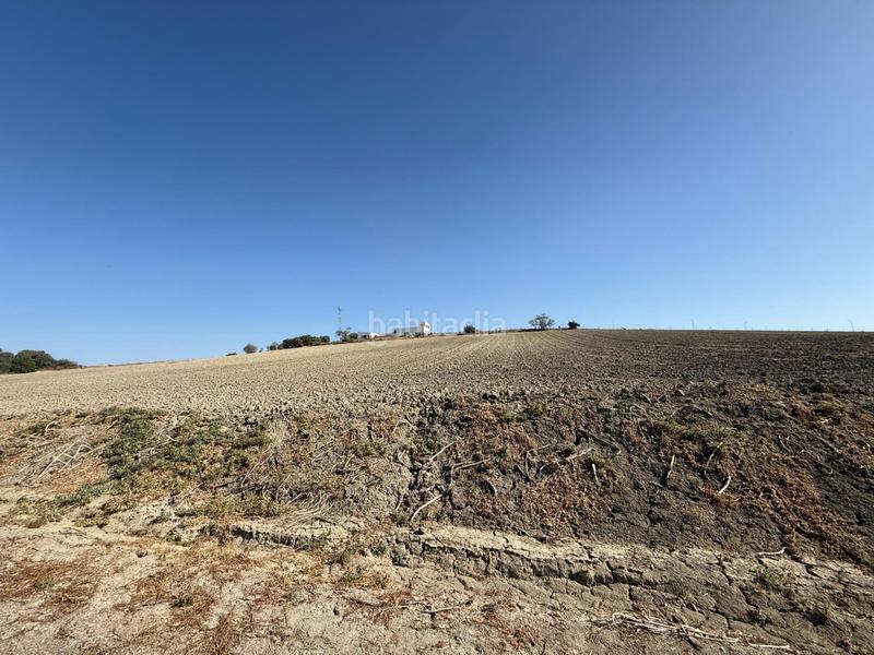 Foto c3e48ff7-f2cf-4e9f-90e3-7925b220ecaa. Landgut in Lebrija